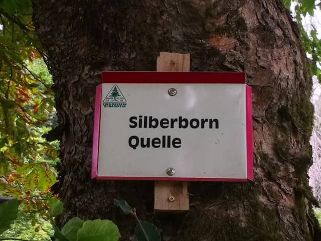 Silberborn Quelle - Image 1
