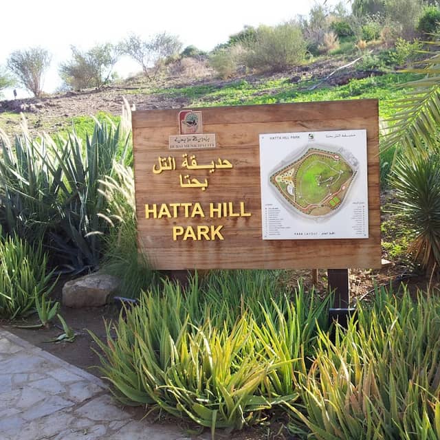 Hatta Hill Park - Image 3