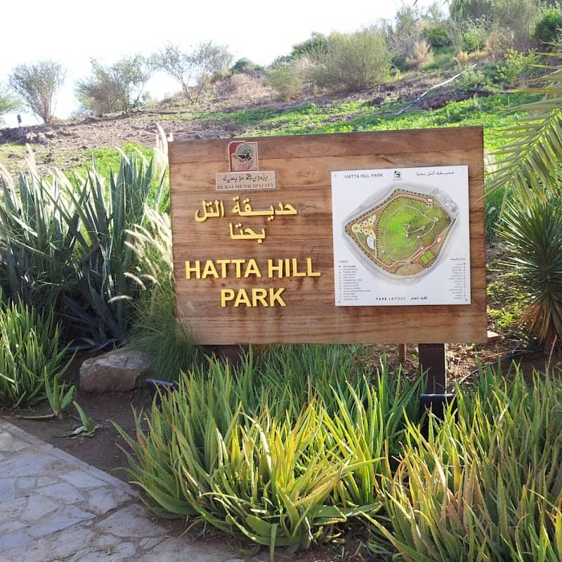 Hatta Hill Park - Image 3
