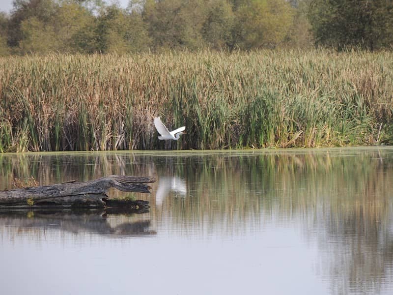 DNR lot, Zeloski Marsh - Image 2