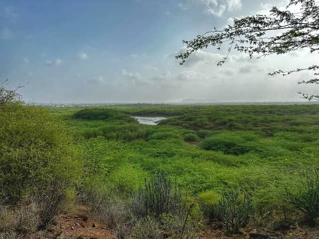 Hills station - Image 1