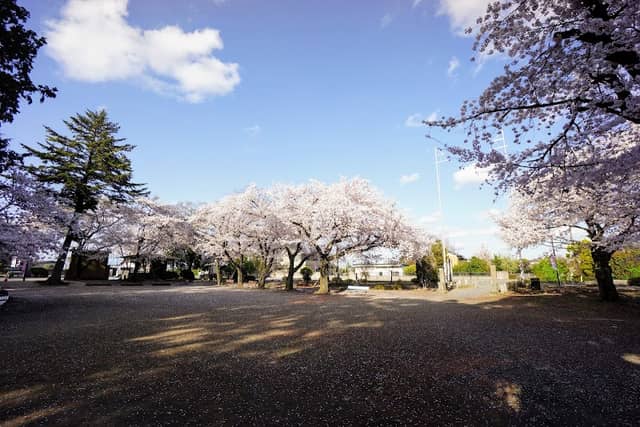 Hatakeyama Shigetada Memorial Park - Image 1