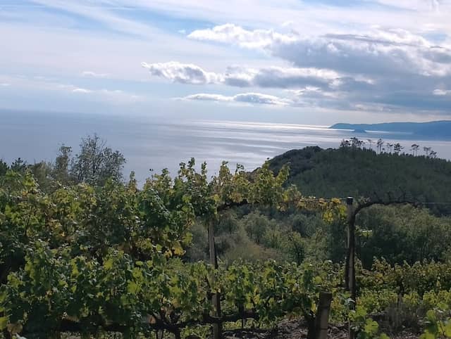 Altopiano de Le Mànie - Image 1