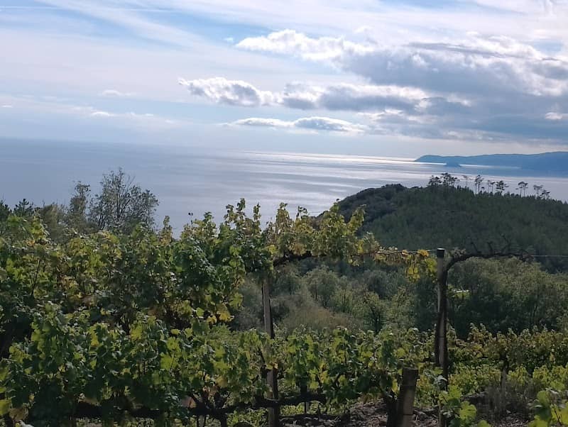 Altopiano de Le Mànie - Image 1