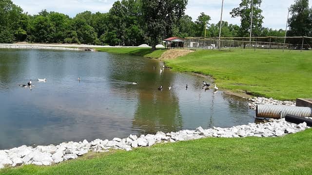 Brownstown Public Park - Image 1