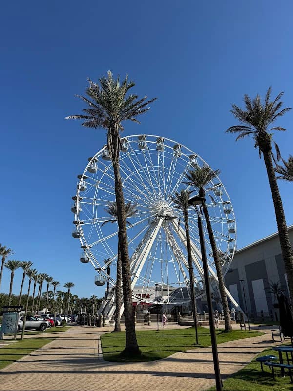 Ferris Wheel - Image 1