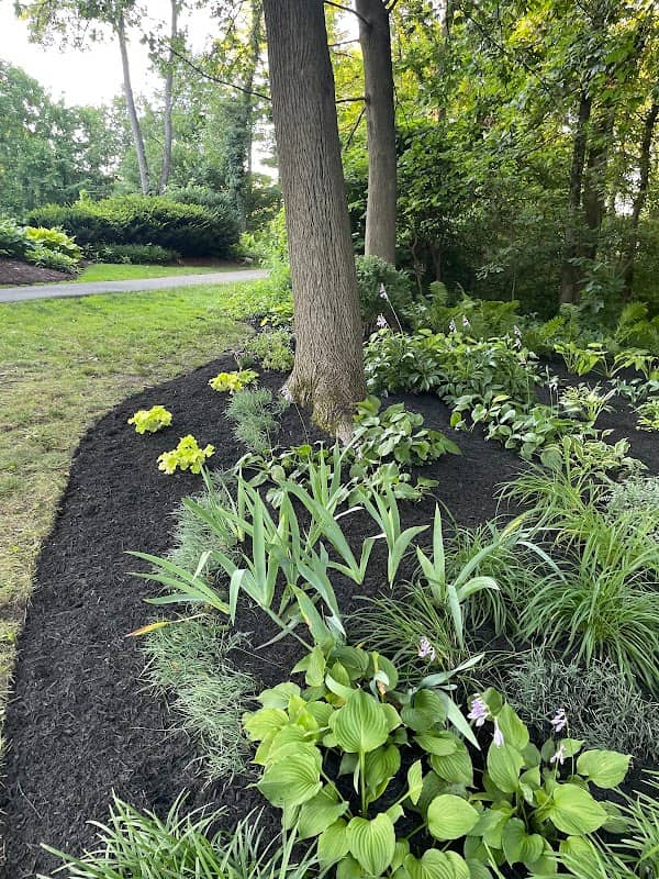 Mary Yost Garden - Image 1