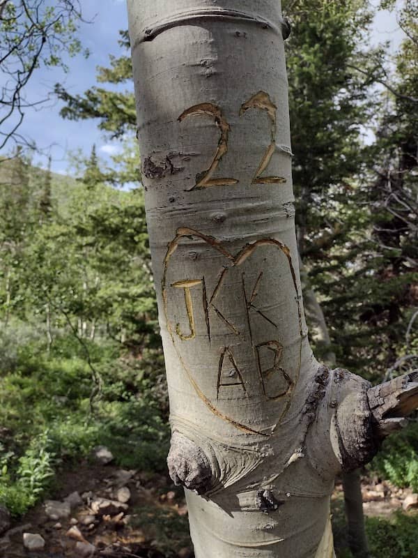 Bennett Springs Campground - Image 1