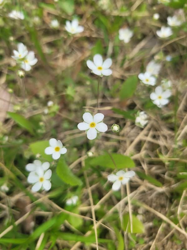Moran Environment Park - Image 1