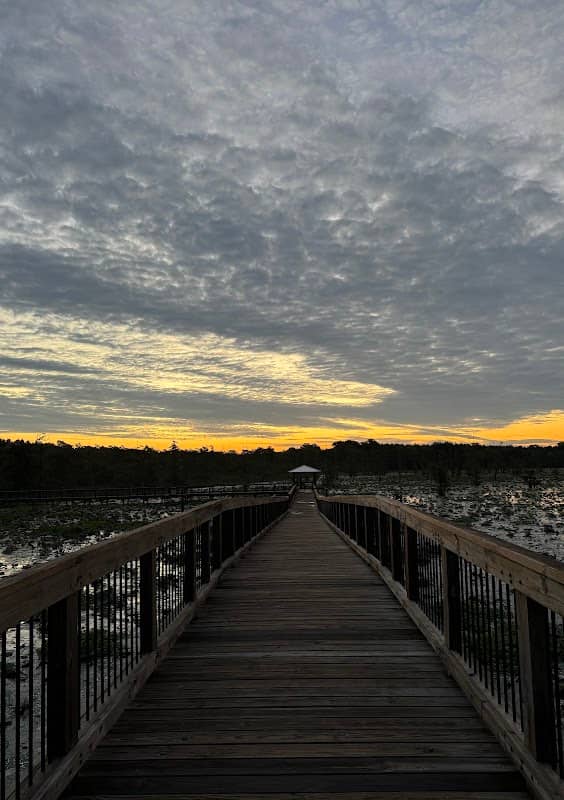 Black Bayou - Image 1