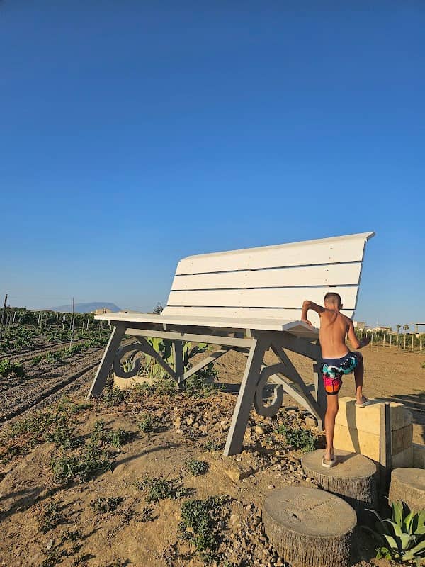 Big Bench #319 - Marsala - Image 1