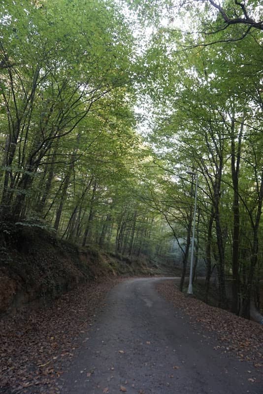 Kirazlıbent Nature Park - Image 1