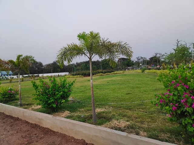 Singareni Park - Image 1