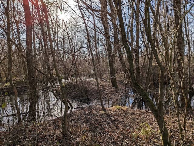 Steetley Meadows - Image 2