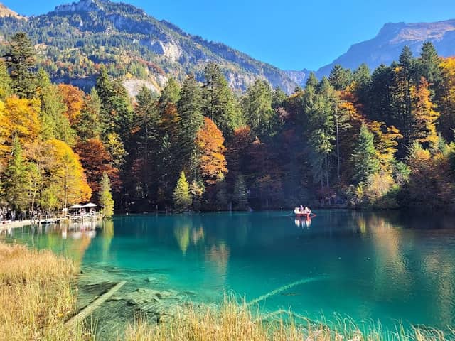 Blausee - Image 1