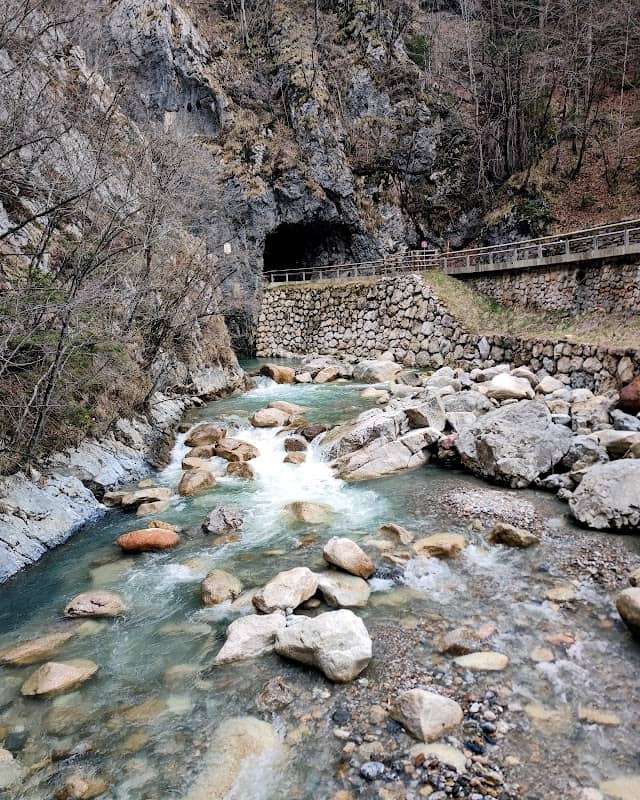 Brv pri Bornovem predoru - Image 1
