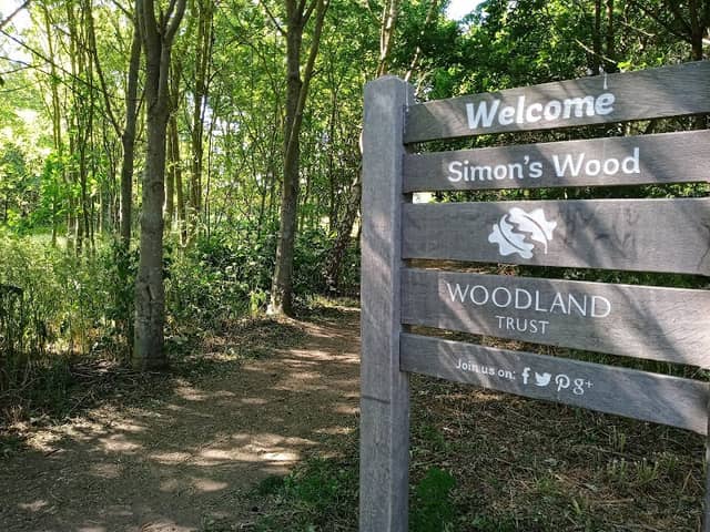 Simon’s Wood - Image 1