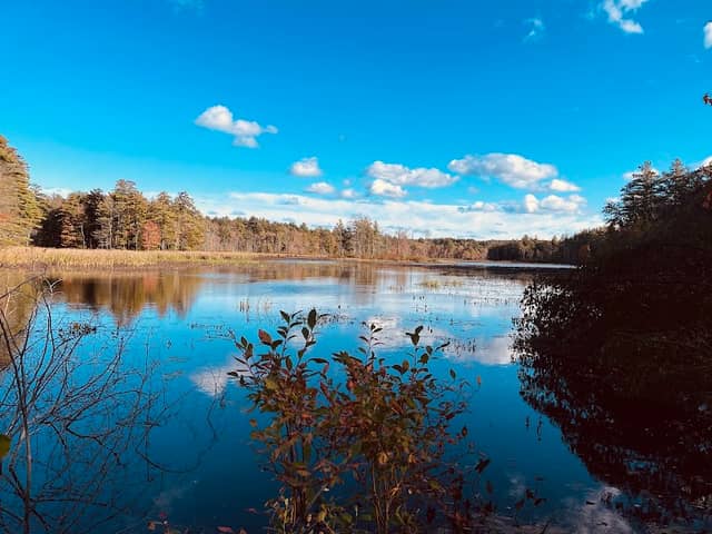Otter River Conservation Area - Image 2