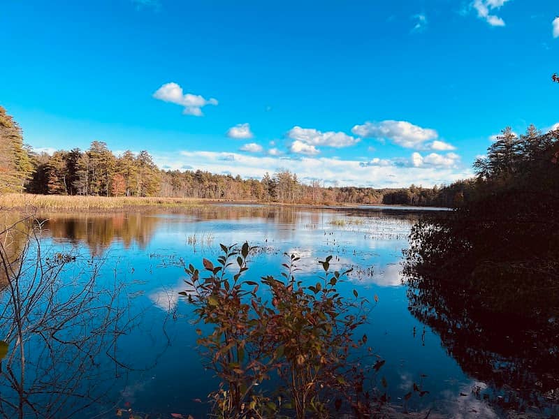 Otter River Conservation Area - Image 2