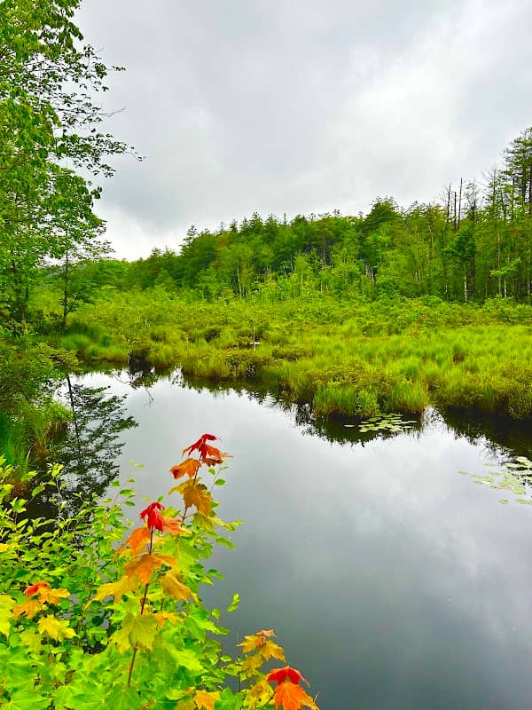 Otter River Conservation Area - Image 1