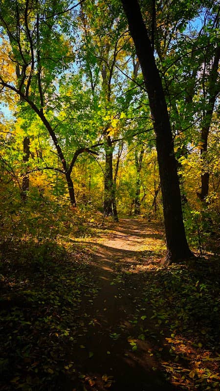 Park Druzhby Narodiv - Image 1