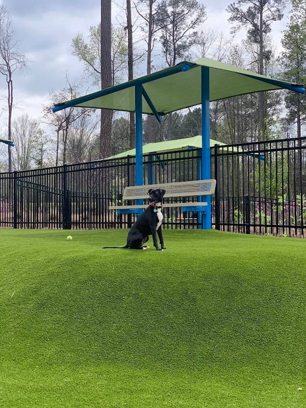 Town Center Dog Park - Image 2