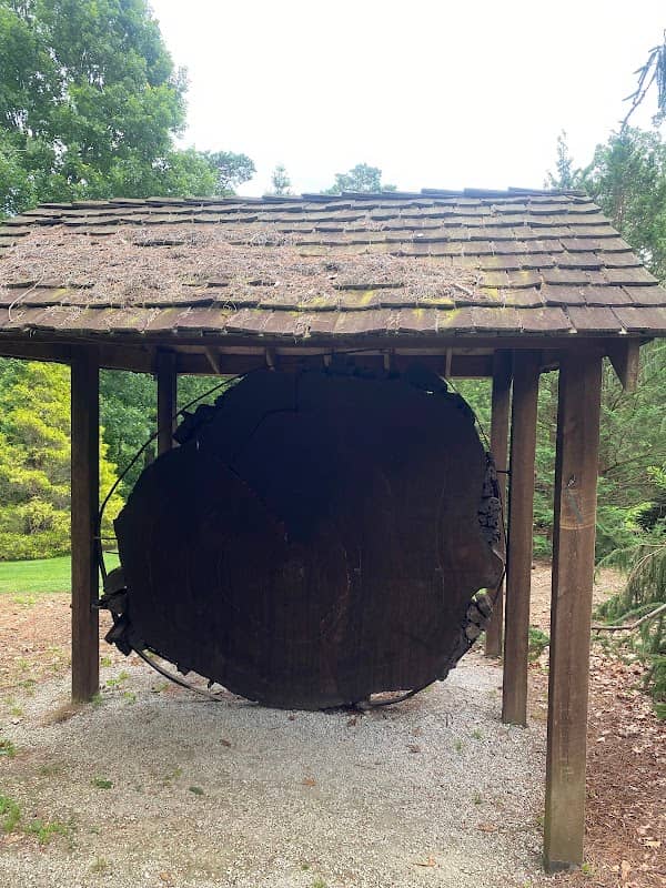 Stanley M. Rowe Arboretum - Image 1