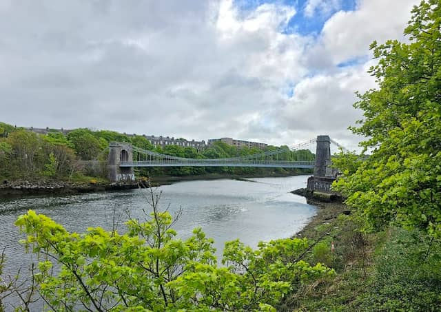 Wellington Suspension Bridge - Image 2