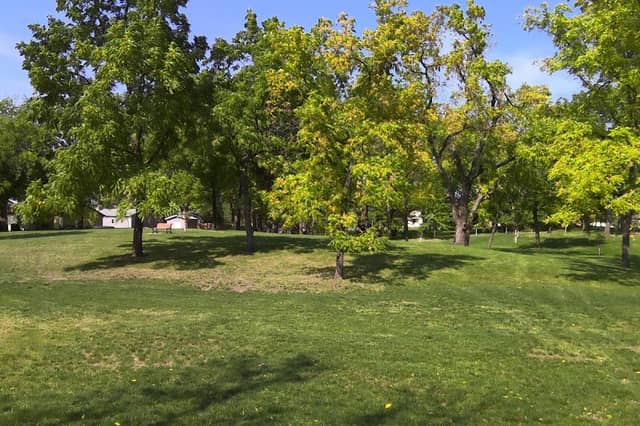 Doc Simmer Memorial Park - Image 1