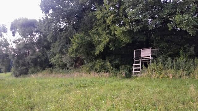 Myslivecký posed - Image 1