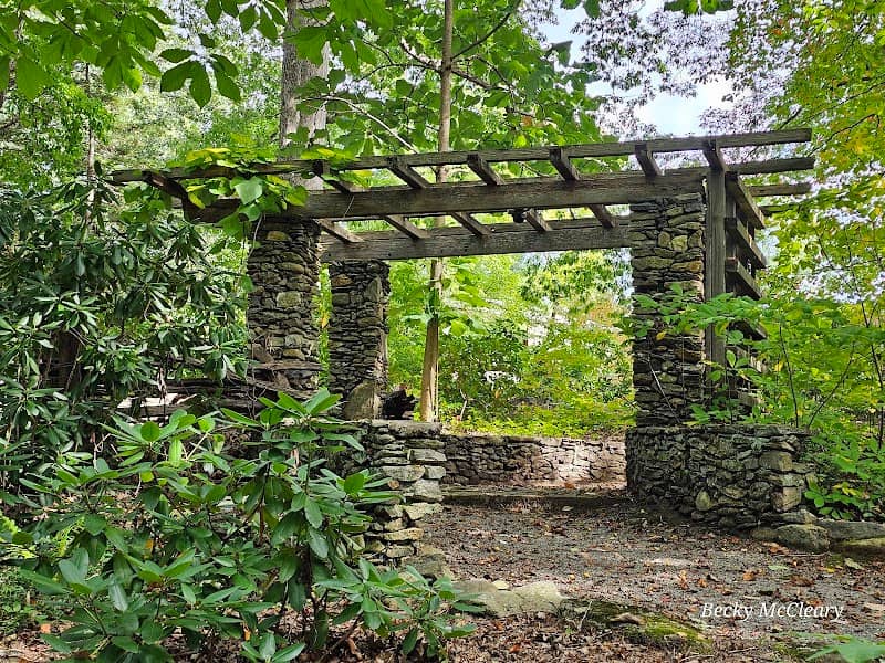 Rhododendron Garden - Image 2