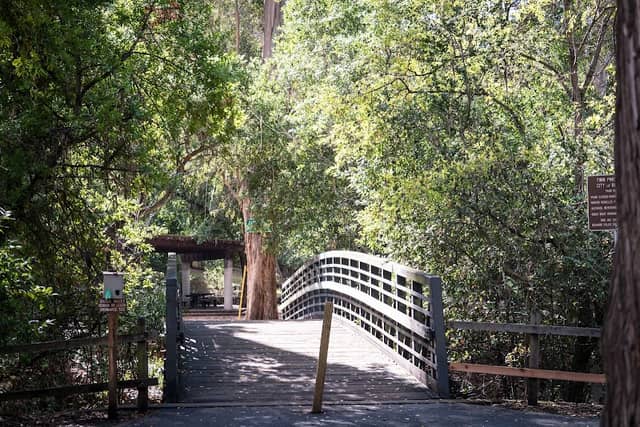 Twin Pines Park - Image 2