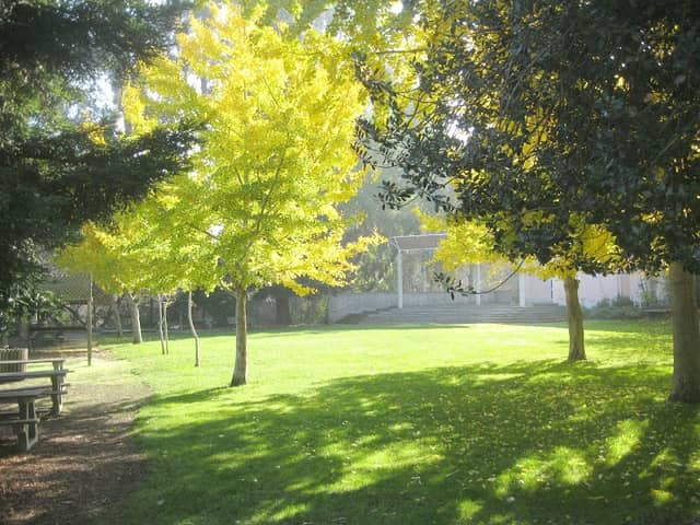 Twin Pines Park - Image 3