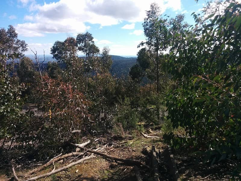 Blackwood Park - Image 1