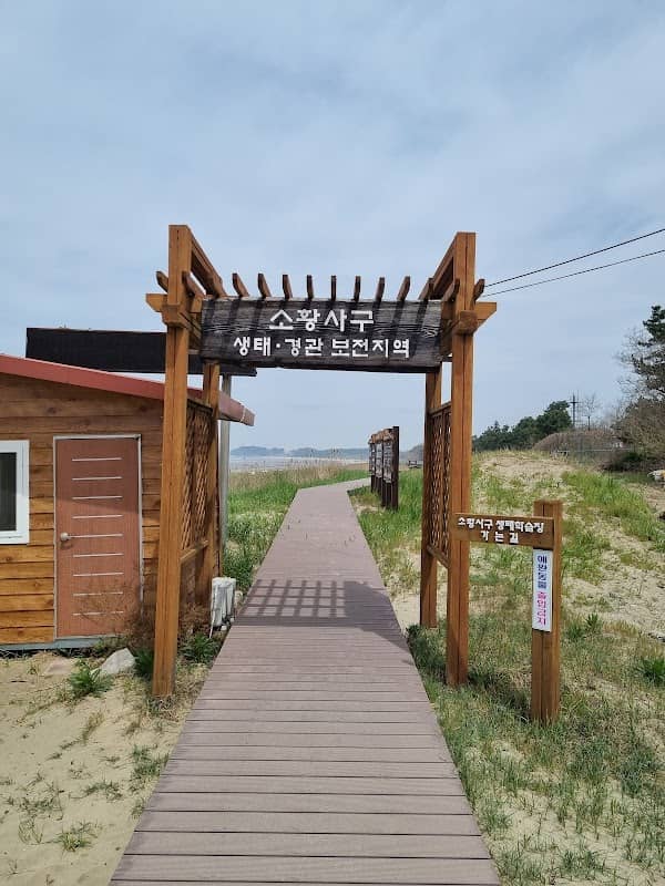 소황사구 - Image 1