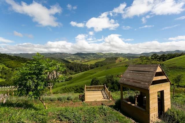Pousada Casa Bambu Cunha - Image 1