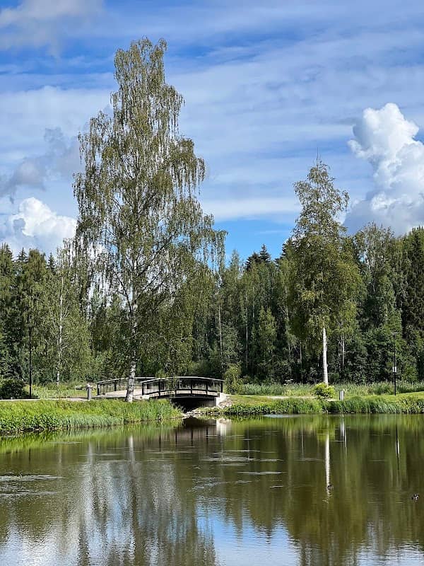 Duck Ponds - Image 2
