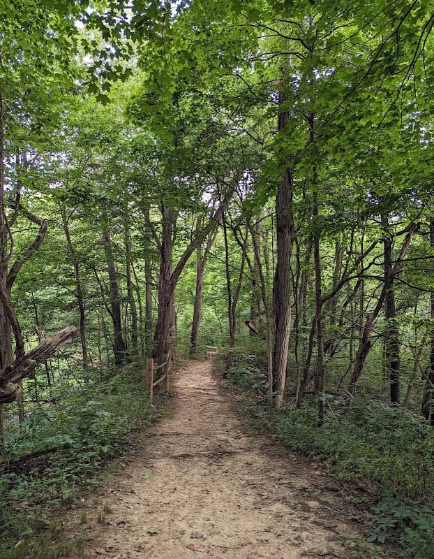 Hoffman Forest MetroPark - Image 1