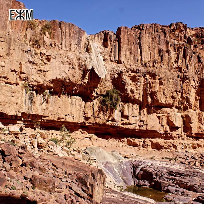 ديسلي - Image 2