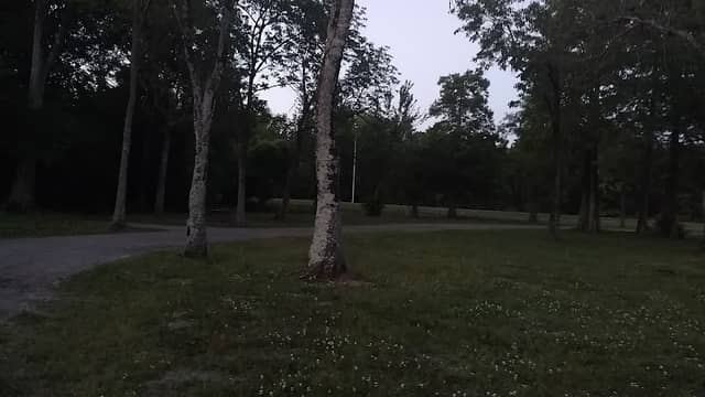 Park - Image 2