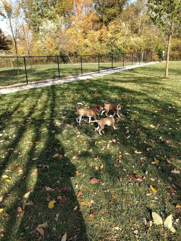 Ariss Park Dog Run - Image 2