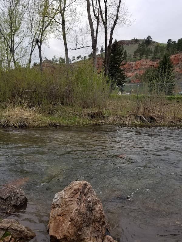 Rushmore Lions Nature Park - Image 2