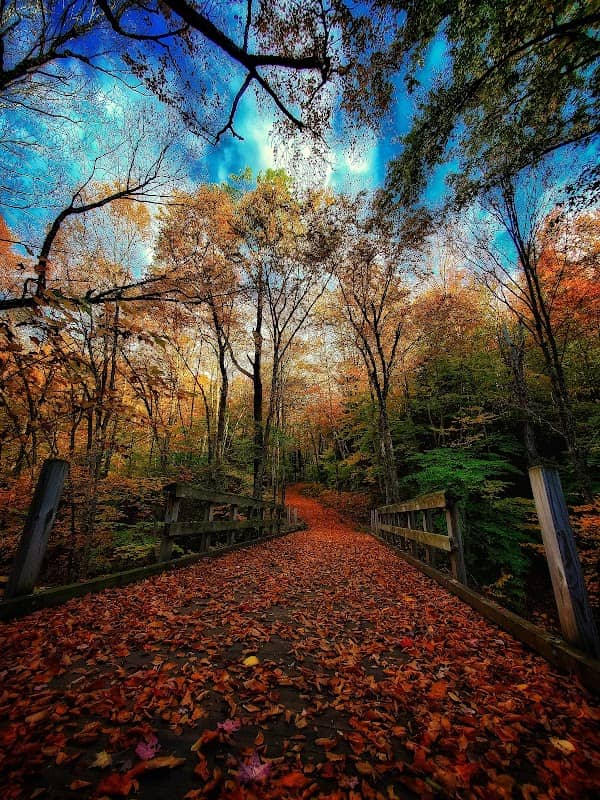 Rusk Mountain - Image 2