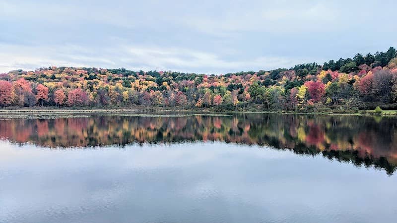 Cold Stream Dam & Recreation Park - Image 1