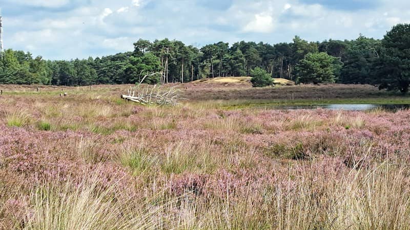 Valkenhorst - Image 1