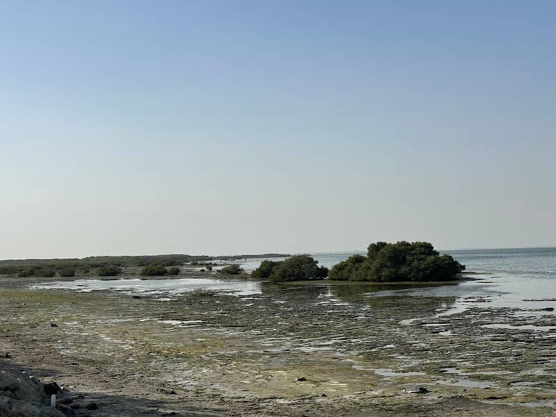 AlZour Corniche - Image 1
