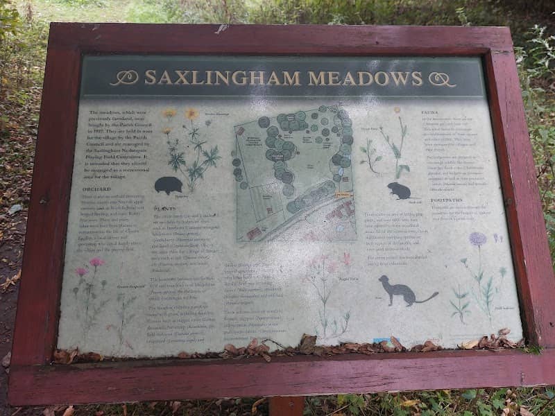 Saxlingham Meadow - Image 1
