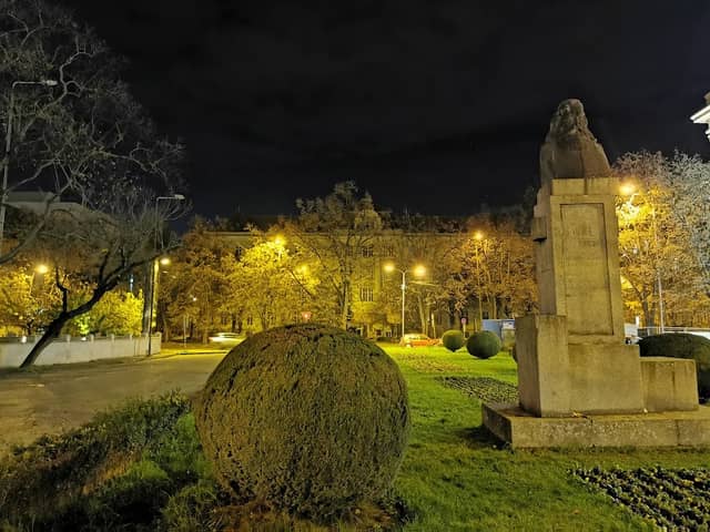 Statuia lui Eftimie Murgu - Image 1