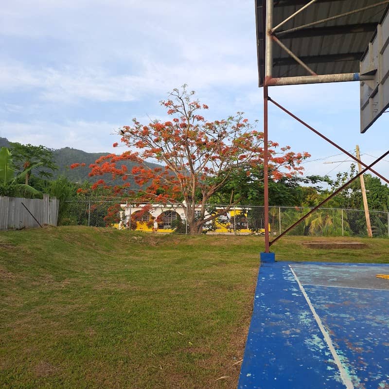 mini estadio de Celada Park - Image 1