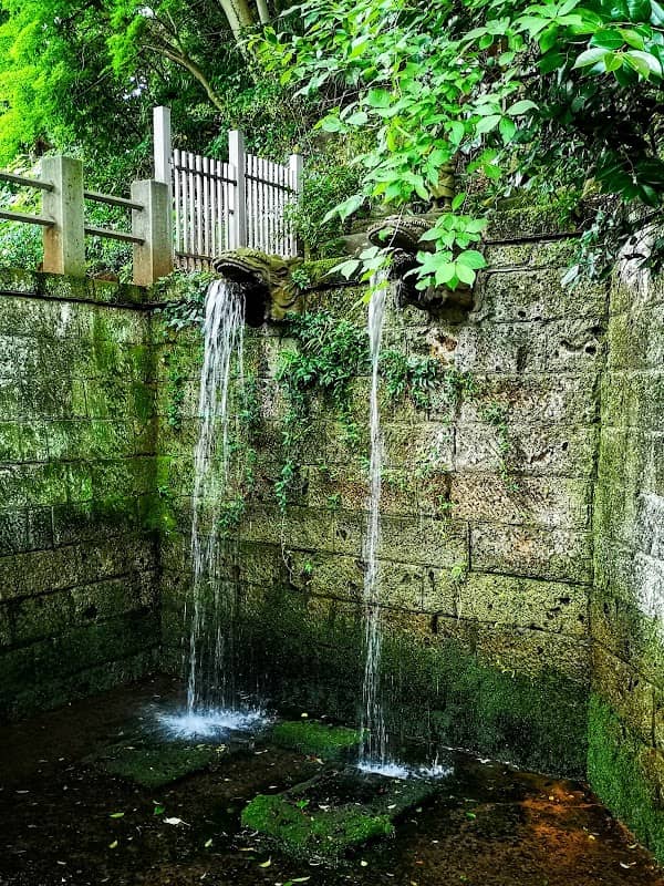 Fudo Fall - Image 1